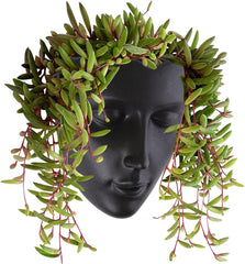 Jardinieră Notakia cu față, montată pe perete, pentru uz interior și exterior, cu drenaj, pentru suculente, cactuși și plante mici, decorațiune unică pentru casă, cadou pentru prieteni și familie