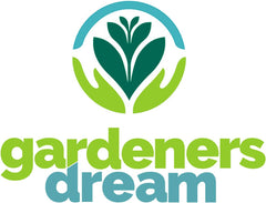 El sueño de los jardineros: 4 plantas de Tillandsia reales - 4 plantas de aire de Tillandsia reales - Plantas de terrario - Plantas decorativas de terrario - Plantas de interior purificadoras de aire - Plantas decorativas - Plantas reales