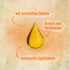 Ida Plus - GoldenEgg 200 ml - Brucheier & Federfressen reducido - Federwachstum & Federkleid apoyado - Wichtige Mineralien & Vitamine für Hühner - Beste Eierqualität bei Ihrer Hühnerhaltung