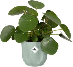 Elho Vibes Fold Rund 14 Pflanzentopf - Blumentopf Für Innen - 100% Recyceltes Plastik - Ø 14.1 X H 12.9 Cm - Grün/Sorbet Green