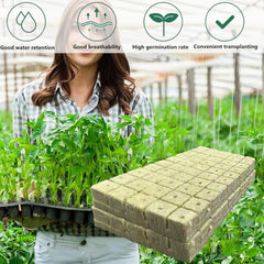 50 Piezas Estera de Cultivo de Lana Mineral, Cubo de Lana Mineral, Aislamiento de Lana Mineral, Estera de Cultivo de Lana Mineral con Tijeras y Guantes para Cultivo sin Suelo, Hidroponía y Trasplante