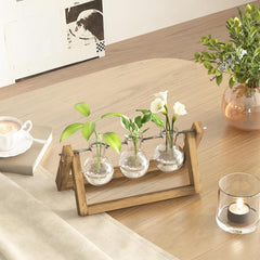 Estación de propagación hidropónica Bamworld con soporte de madera, 3 jarrones de cristal para cultivo de plantas acuáticas y decoración del hogar