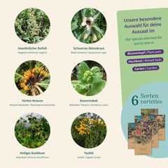 Magic Garden Seeds - Plantas Encantadas con 6 Hierbas Mágicas: Ajenjo, Ajenjo, Mandrágora y Más - Plantas de Incienso para Cultivar Tú Mismo y Regalar