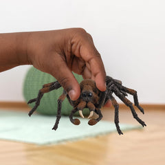 Schleich 13987 Aragog, a partir de 6 años, HARRY POTTER - muñeco de juego, 17 X 8 X 14 cm Figuras de acción Naty Shop