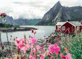 Ravensburger Puzzle Locuri scandinave 16740 - Reine, Lofoten, Norvegia - puzzle jigsaw de 1000 de piese pentru adulți și copii de peste 14 ani Puzzle Naty Shop Design vechi
