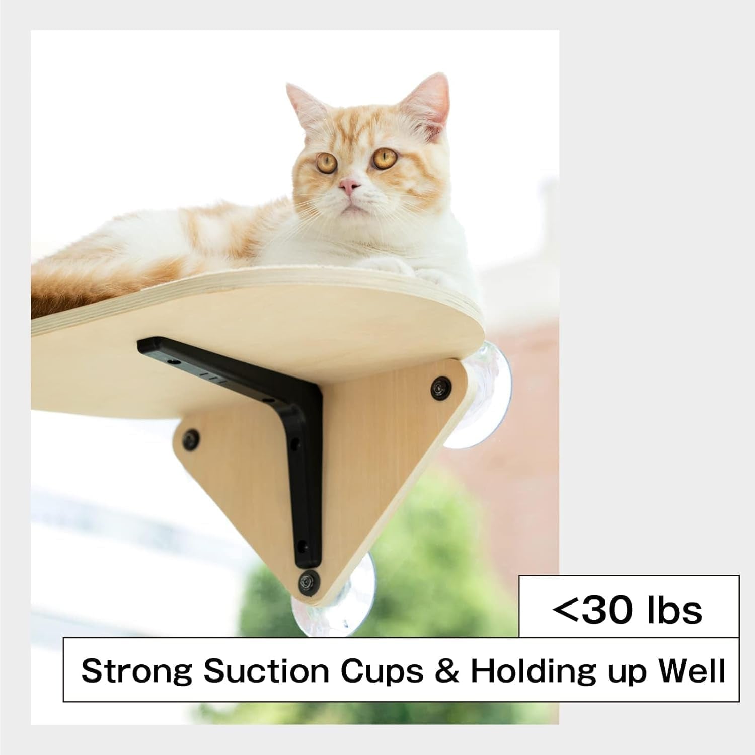 Hamac din lemn pentru pisici MEWOOFUN, cu ventuză puternică - Platformă pentru pisici, Pat pentru pisici montat pe fereastră pentru pisici de interior, 1 bucată