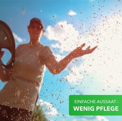 Magia de la Naturaleza 800gr. Blumensamen Mischung - Bienen Paradies - Blühfreudige Bienenweide für 150 bis 250 m²