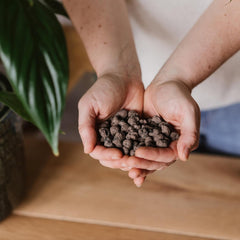 Westland Clay Granules, 5 L - Gránulos para plantas ideal para hidroponía, sustrato de drenaje sin aditivos químicos, para uso interior y exterior