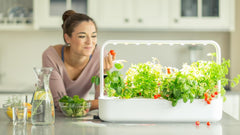 Click and Grow Jardín Interior, Más Fácil que el Sistema de Cultivo Hidropónico, Jardín Inteligente LED, Jardín de Hierbas, Invernadero Interior con 9 Cápsulas Vegetales Incluidas (Blanco)