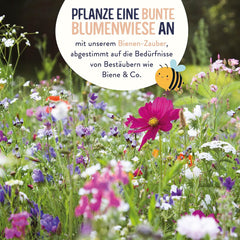 Blumenwiese Samen I 200 g I Blumensamen mehrjährig I Samen für Bienen Blumenmischung I Wildblumensamen f. Balkonblumen, Wildblumen I Wildblumensamen mehrjährig winterhart como Bienenweide