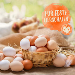 Ida Plus - GoldenEgg 200 ml - Brucheier & Federfressen reducido - Federwachstum & Federkleid apoyado - Wichtige Mineralien & Vitamine für Hühner - Beste Eierqualität bei Ihrer Hühnerhaltung