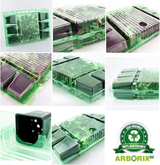 6 x Garten Scheinsonnenhut 'Doubledecker' - Maceta Echinacea Purpurea 'Doubledecker' 9x9cm: Doppelte Blüten, einzigartige Optik, zieht Bienen an, ideal für Gärten.