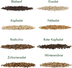 Semillas de Lechuga: Set de 8 Variedades de Semillas de Ensalada para el Jardín y el Balcón - Semillas de Lechuga, Hoja de Mostaza, Canónigos (Hardy), Achicoria, Semillas de Escarola, Achicoria - Semillas de Hortalizas para Ensalada de OwnGrown