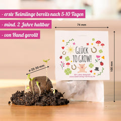 10x "Glück to grow" Semenbomben als Glückbringer 2026 & Blumensamen Geschenk | Mitbringsel Erwachsene & kleine Gastgeschenke Silvester - Kleeblatt Glückbringer Prüfung - inkl. Conjunto de tarjetas de regalo