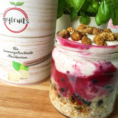 myfruits mure organice uscate, 750g, uscate la soare, fără aditivi. Din agricultura ecologică certificată, mure albe uscate Produse deshidratate Naty Shop