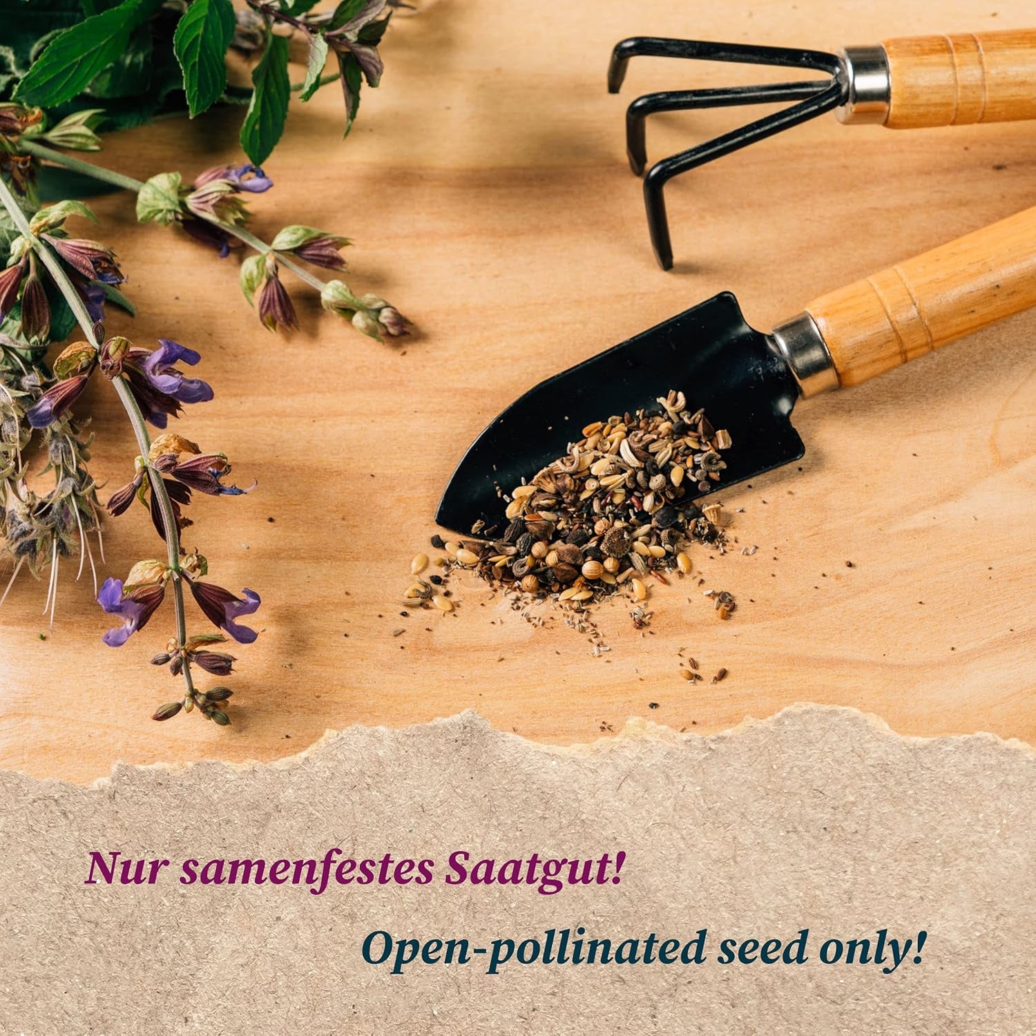 Plantas aromáticas - Samenset mit 6 prachtvoll duftenden Blühpflanzen