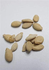 Stk - 10X Riesen Melonen Obst Pflanzen - Samen A73 -