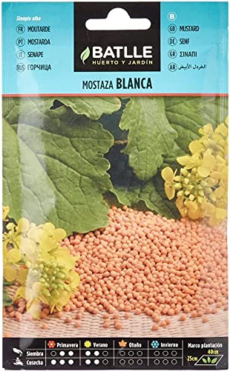 Batlle Kräutersamen - Senf Weiss (Samen - 40-55Cm)