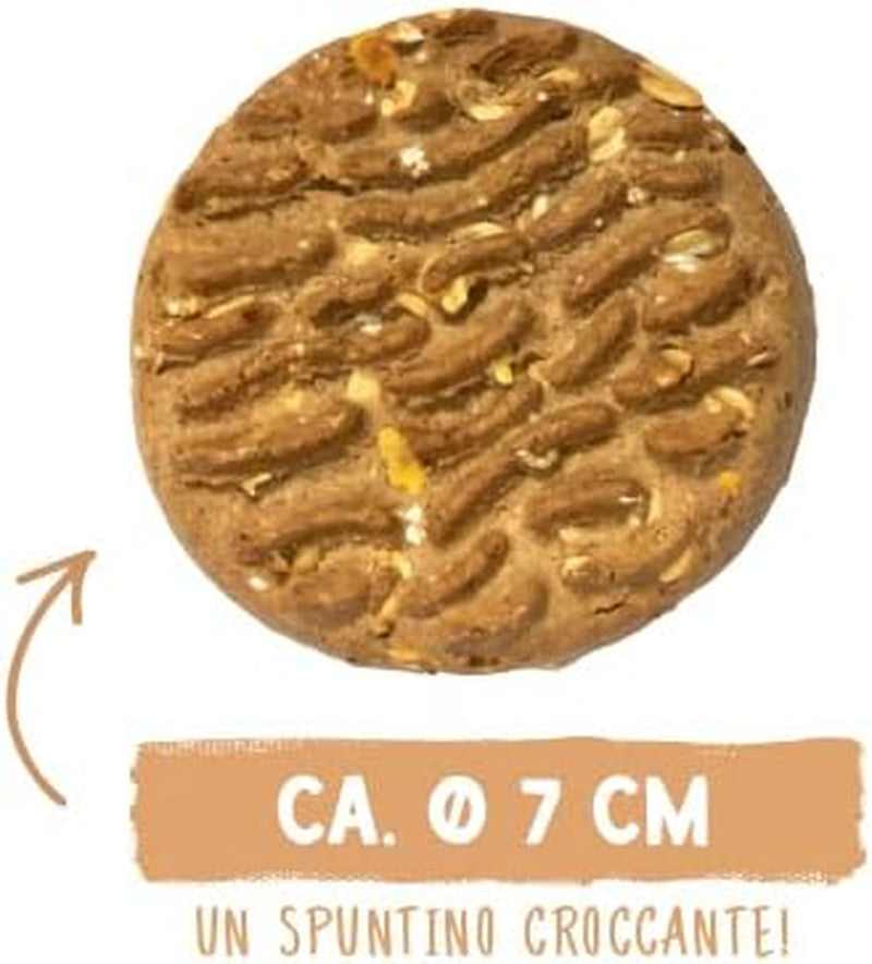 Monedas de muesli de Sammy | Snacks crujientes al horno para perros | Monedas de muesli de 5 cereales para tu amigo peludo grande (más de 30 kg) | 1 kilogramo