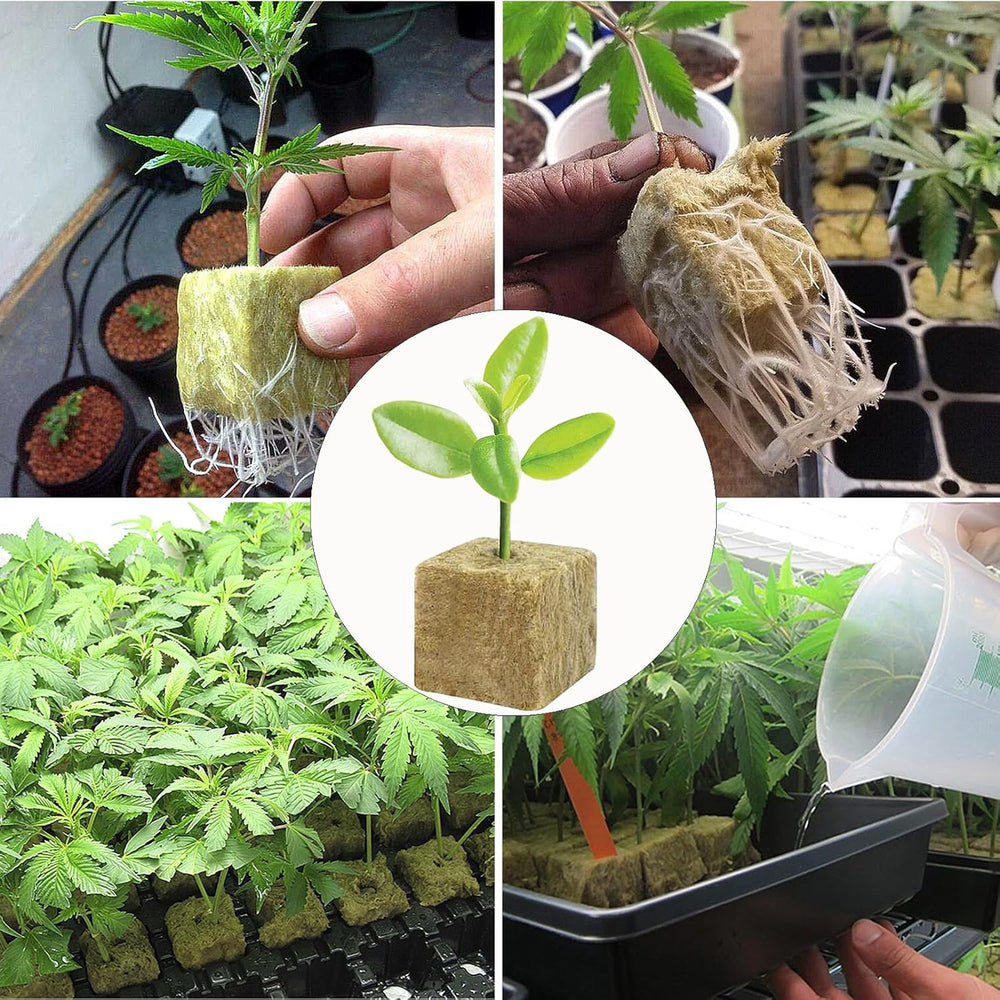 50 Piezas Estera de Cultivo de Lana Mineral, Cubo de Lana Mineral, Aislamiento de Lana Mineral, Estera de Cultivo de Lana Mineral con Tijeras y Guantes para Cultivo sin Suelo, Hidroponía y Trasplante