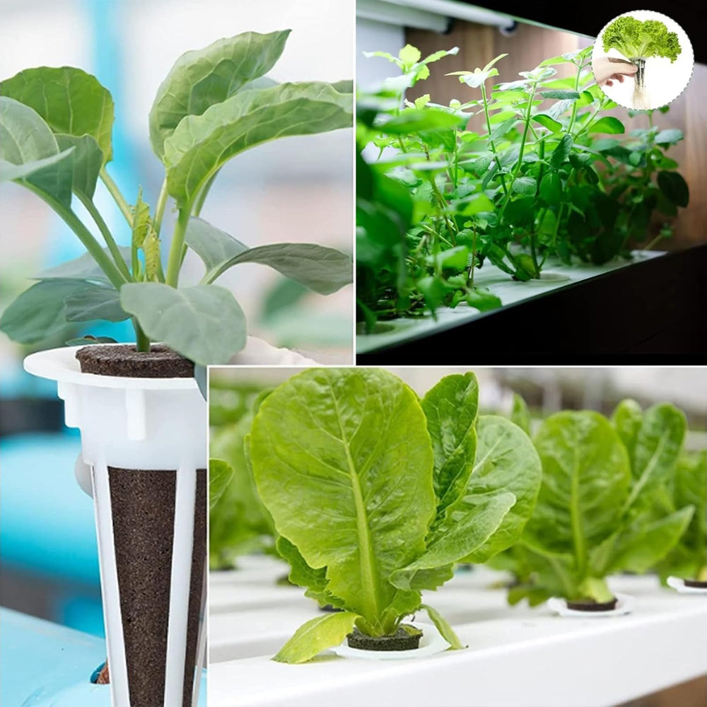 50 Esponjas de Cultivo de Repuesto, Tubos de Establecimiento de Semillas, Tapones de Esponja para Cultivo de Raíces, Kits de Cultivo Hidropónicos para Sistemas de Cultivo Hidropónicos, Hidropónicos de Interior, Jardín