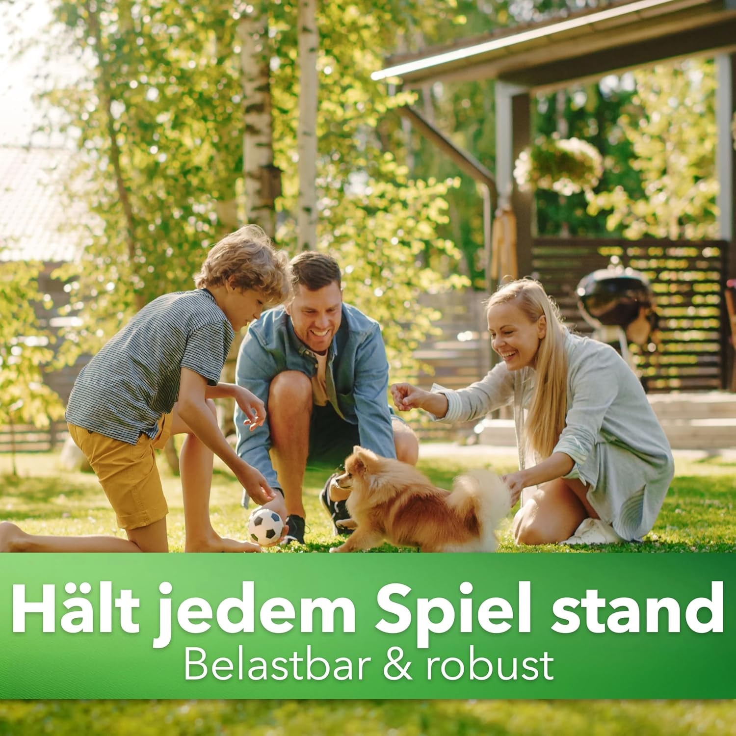 Hesa Gebrauchsrasen 1 Kg Für 40 M², RSM 2.3, Schnellkeimende Premium Rasensamen Sport- Und Spielrasen, Grassamen Strapazierfähig Und Robust in Profiqualität