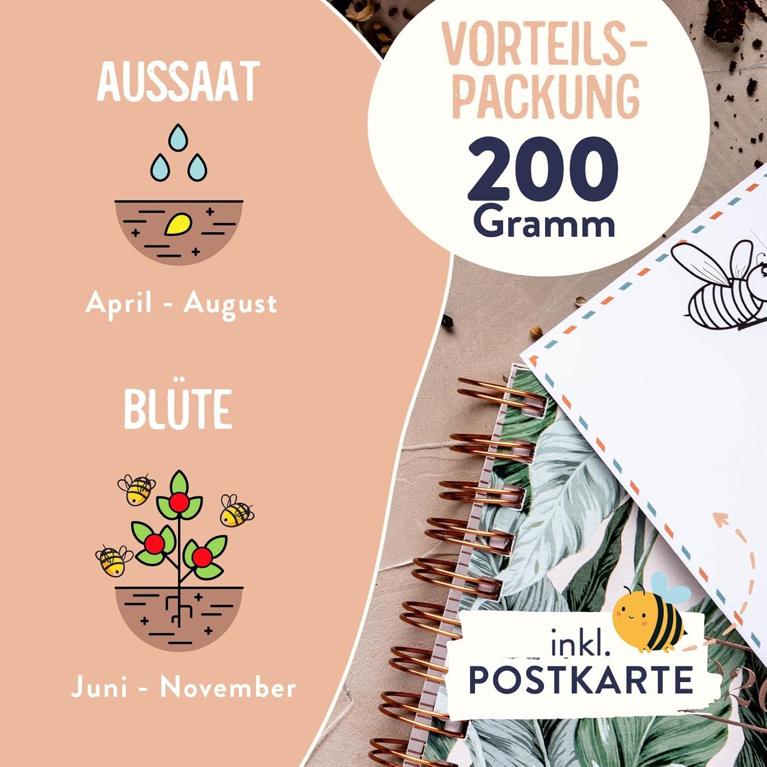 Blumenwiese Samen I 200 g I Blumensamen mehrjährig I Samen für Bienen Blumenmischung I Wildblumensamen f. Balkonblumen, Wildblumen I Wildblumensamen mehrjährig winterhart como Bienenweide