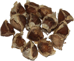 Moringa - Moringa oleifera - 10 semillas *También llamado árbol de rábano picante*