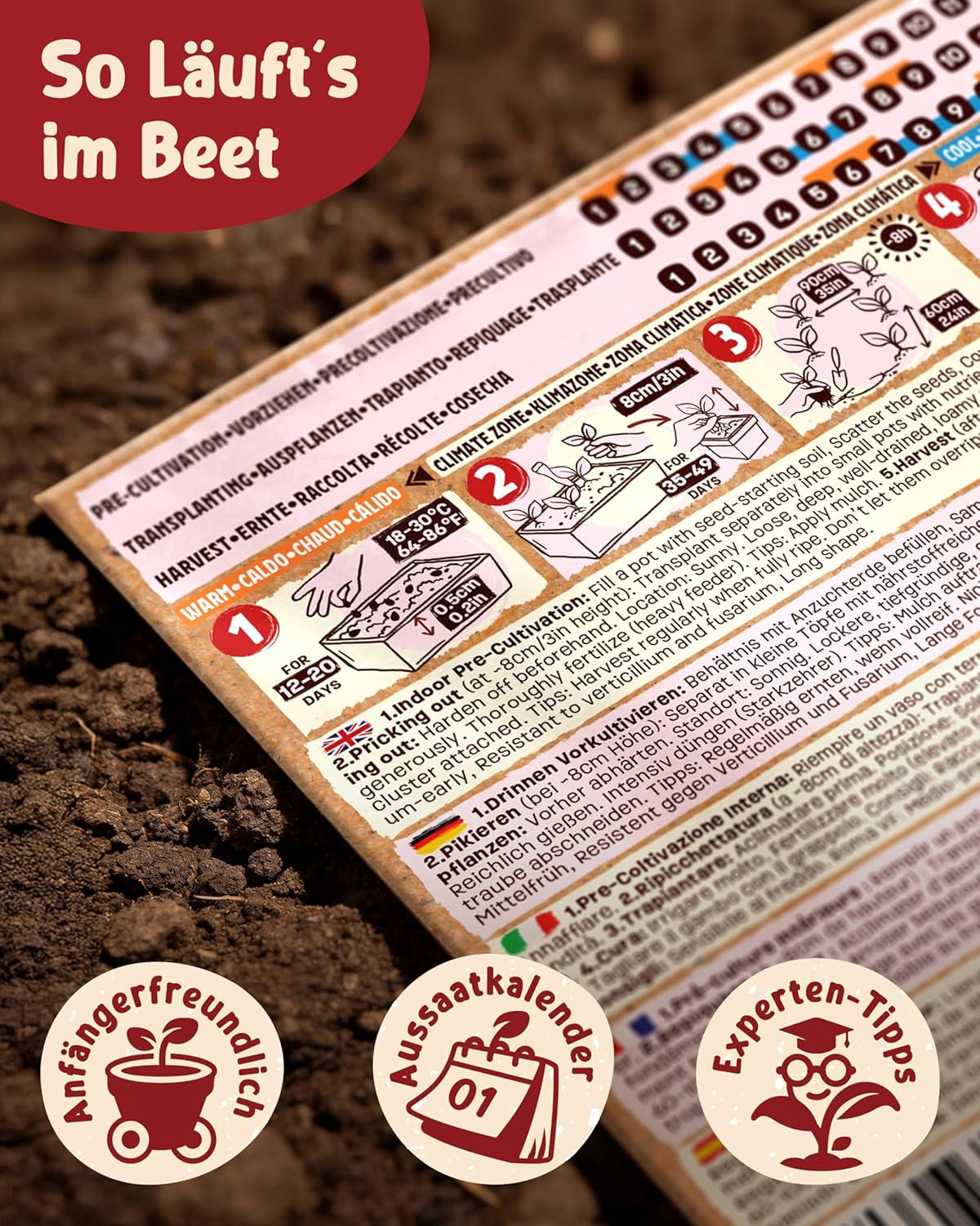 Bio Tomatensamen Im 10Er Set - 10 Tomaten Samen Für Den Einfachen Anbau Im Garten, Balkon Oder Hochbeet - Pflanzensamen - Saatgut