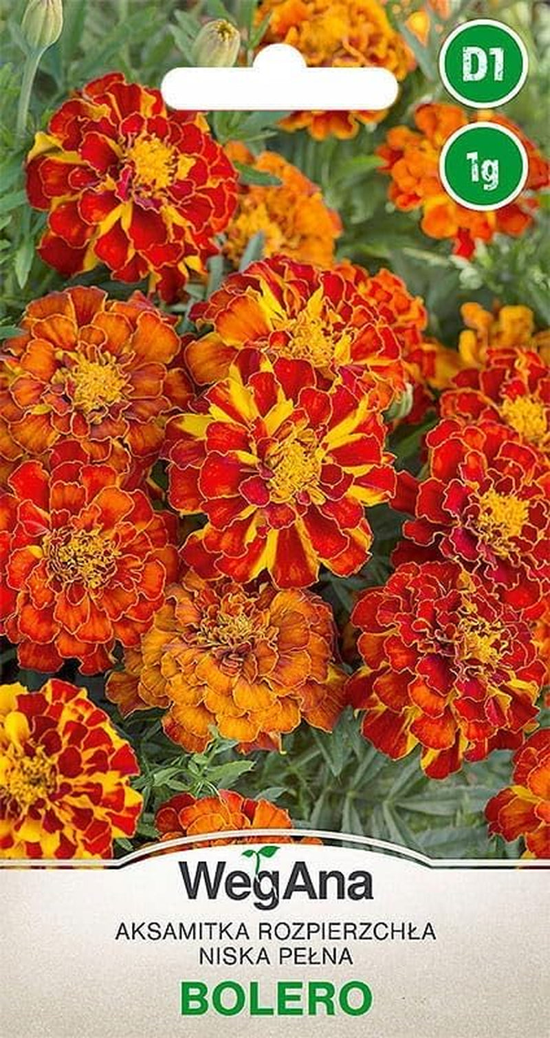 Cosmos Sensation Mix 1g semillas, Cosmos Mix Flores de verano, Plantas de jardín Plantas de balcón, Semillas de flores