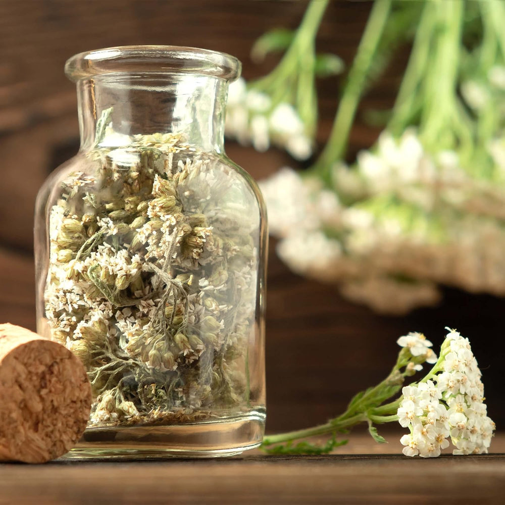 Set de semillas de té: 8 variedades de semillas para balcón y jardín - menta, manzanilla, anís, ortiga, malva - semillas de plantas - té - caja de té - Plantas OwnGrown