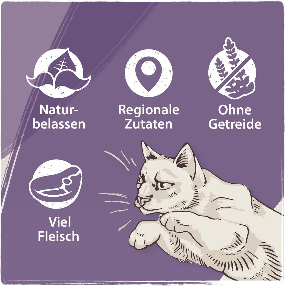 Venandi Animal - Hrană umedă premium pentru pisici - Cal ca monoproteină, pachet de 12 (12 x 125 g), fără cereale, monoproteină