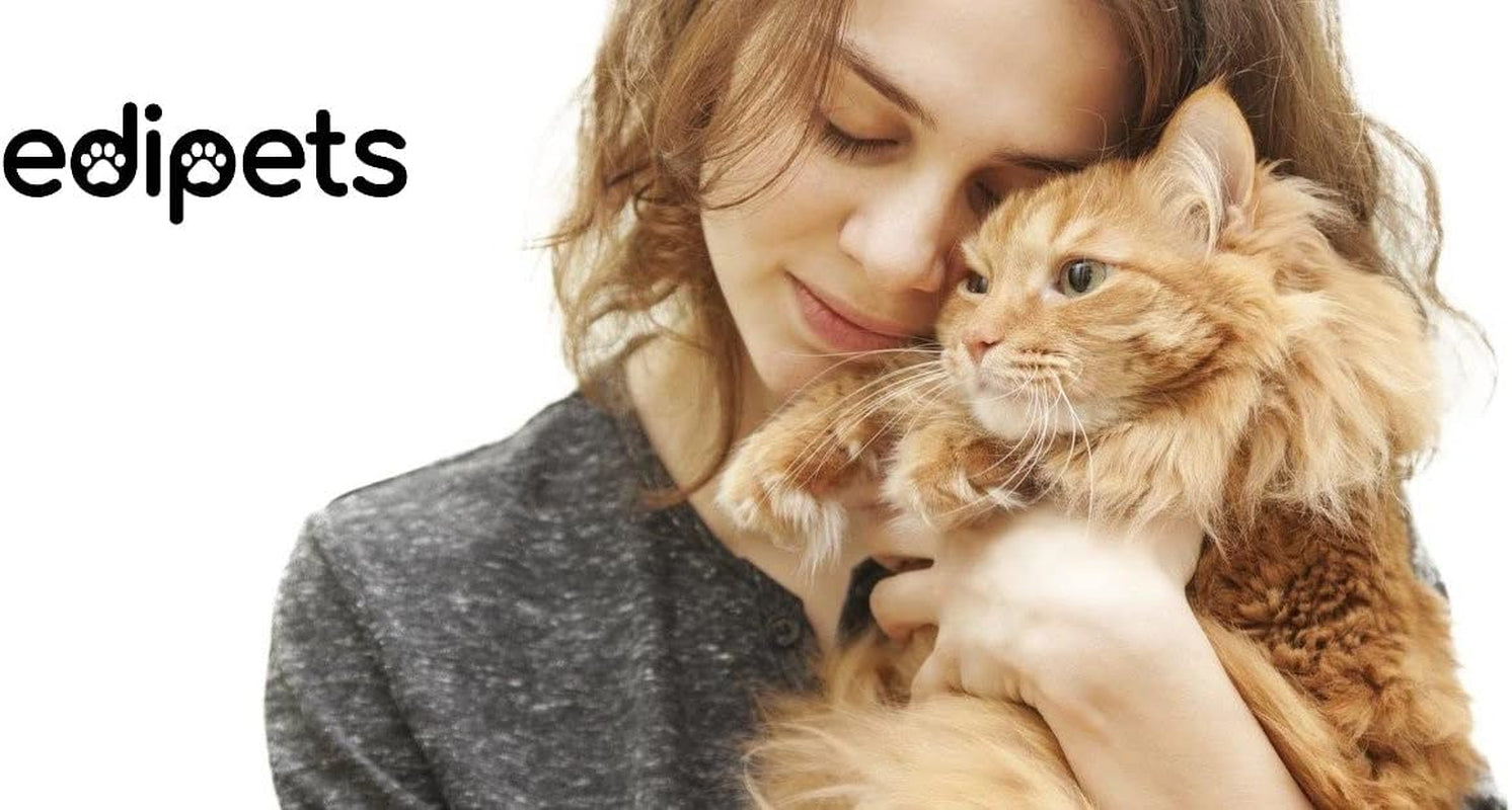 Edipets, Katzennapf erhöht, Einzel oder Doppel, Antischlingnapf, Erhöchte, für Hund und Katze (Transparente)