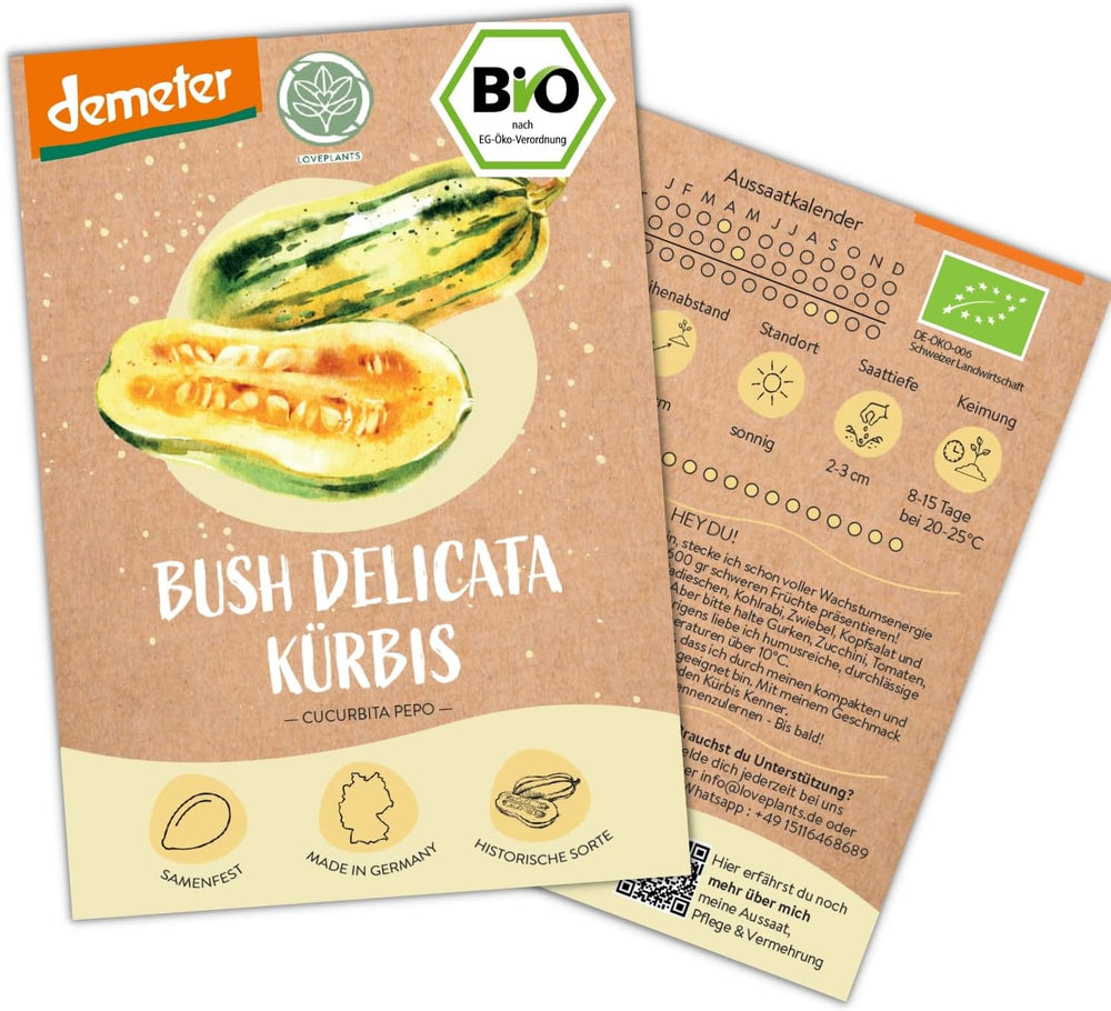 Mini semillas orgánicas de pepino mexicano, 10 semillas de pepino snack, alta tasa de germinación, certificación Demeter y polinización abierta | LOVEPLANTS Balcón Jardín Cama elevada Semillas de hortalizas - Variedades de hortalizas tradicionales