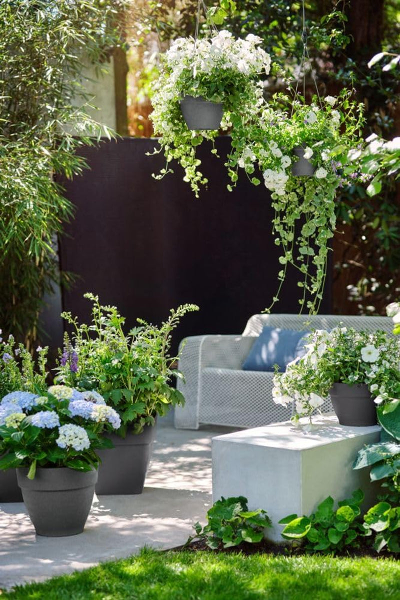 elho Vibia Campana Bowl 27 - Ghiveci de flori pentru exterior - Ø 27,0 x H 14,0 cm - Negru/Antracit