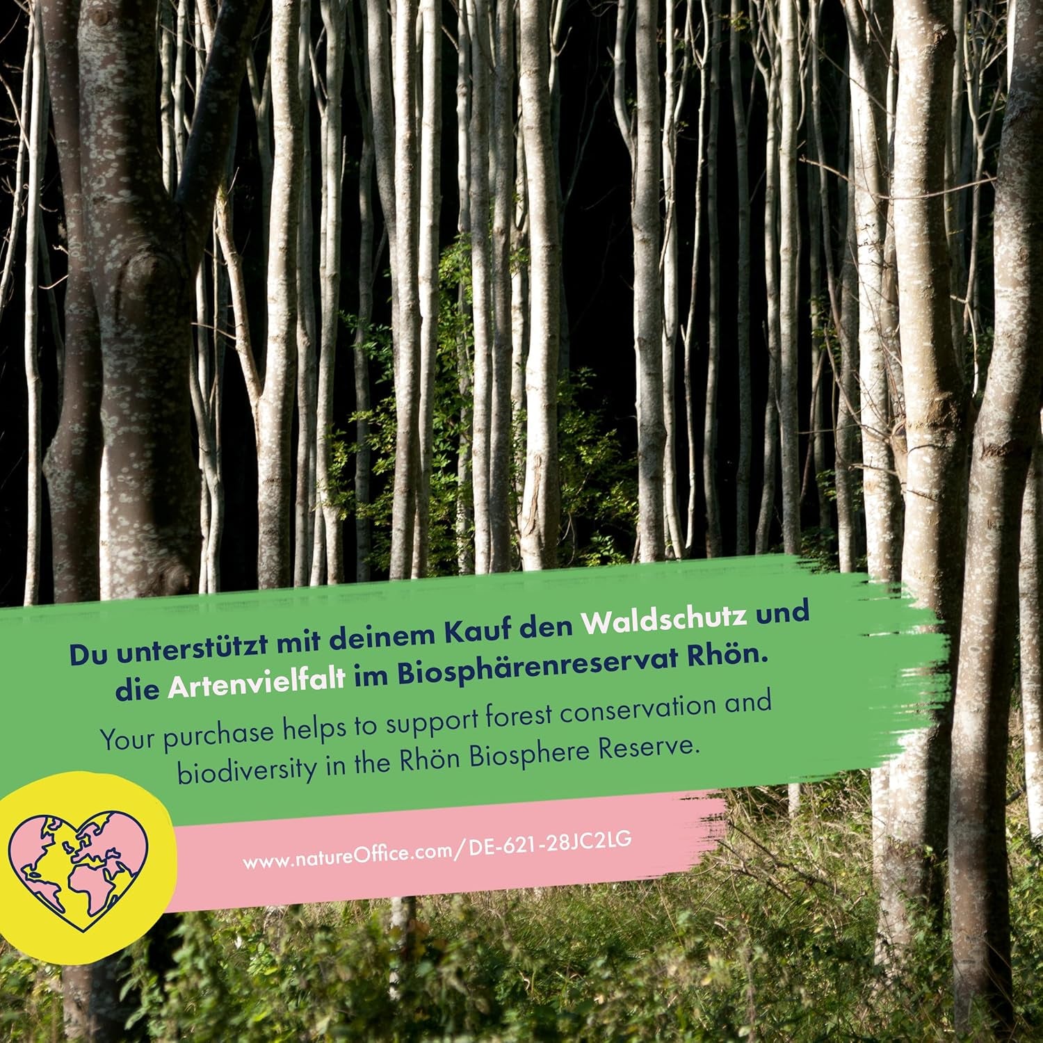 Flores Secas - 10 Variedades de Flores Polinizadas Libremente - Eternas y Hermosas - Juego de Semillas para Principiantes, como Pequeño Regalo o para Uso Personal