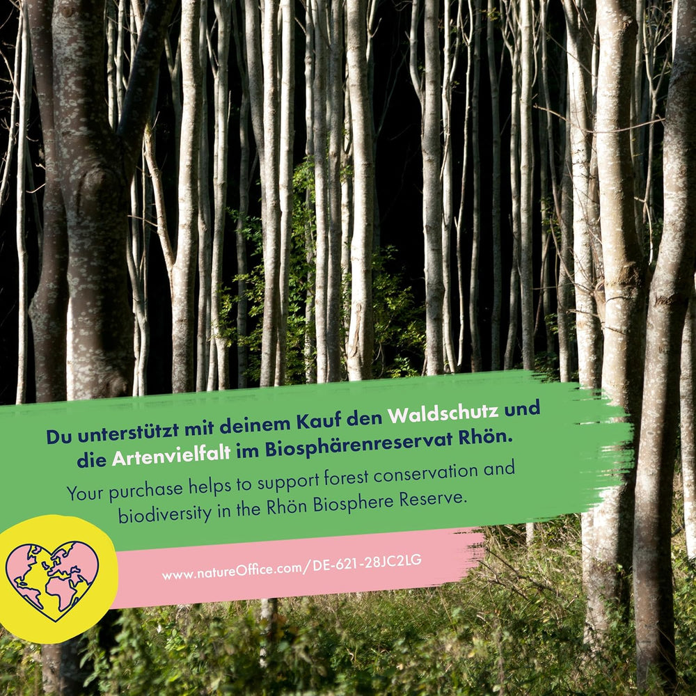 Blooming Rainbow - 6 mezclas de flores polinizadas gratuitas - Espectaculares y coloridas - Set de semillas para principiantes, como pequeño regalo o para uso personal