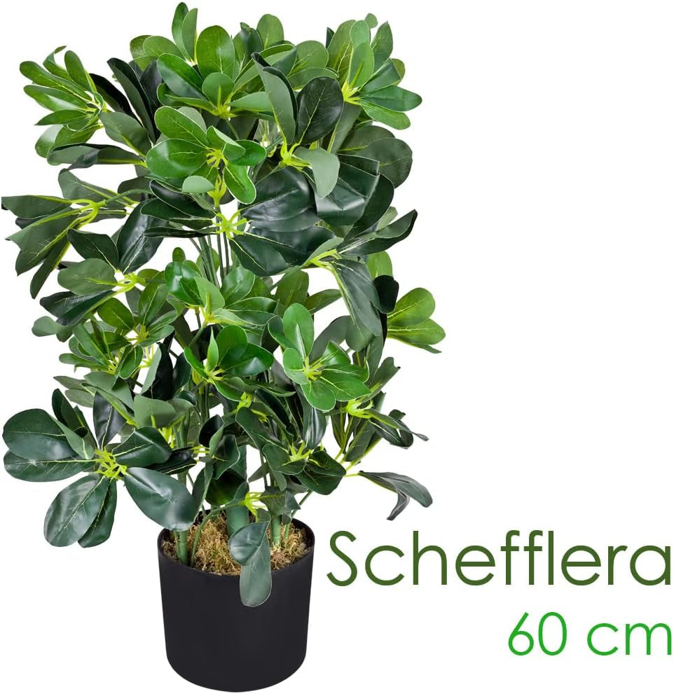 Decovego Schefflera Kunstpflanze, Künstliche Strahlenaralie 60 Cm, Robustes Kunststoffmaterial, Für Innenbereiche, Pflegeleichte Deko