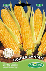 Mais GOLDEN BANTAM, Mehrfarbig, EC5025