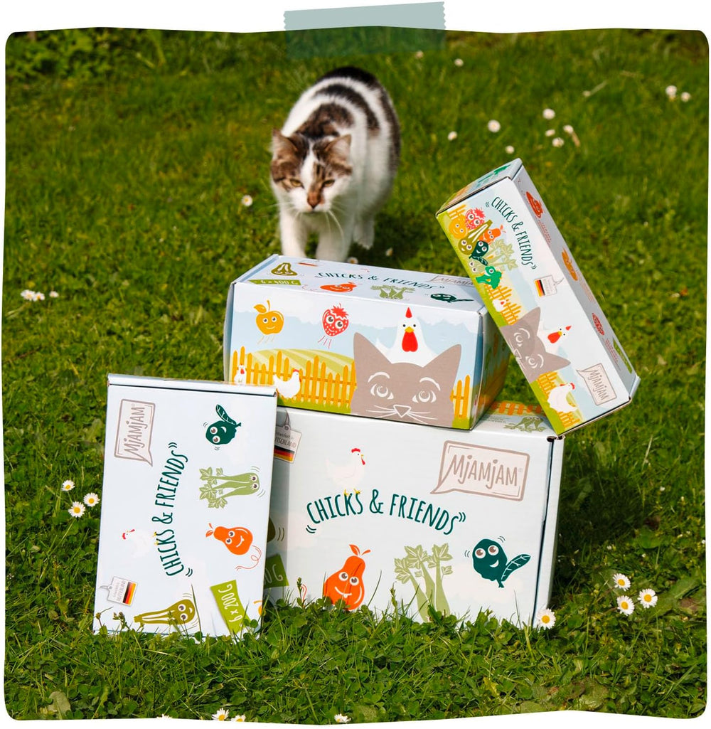 MjAMjAM - Premium Nassfutter für Katzen - Chicks & Friends Box, 9er Pack (9 x 300g), getreidefrei mit extra Fleisch