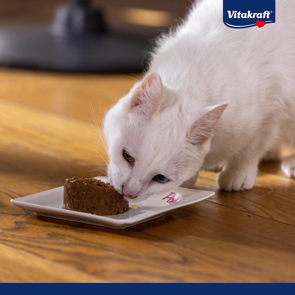 Vitakraft Poésie Mousse, hrană umedă pentru pisici, spumă aerisită, cu somon, fără zahăr adăugat sau cereale (12 x 85g)