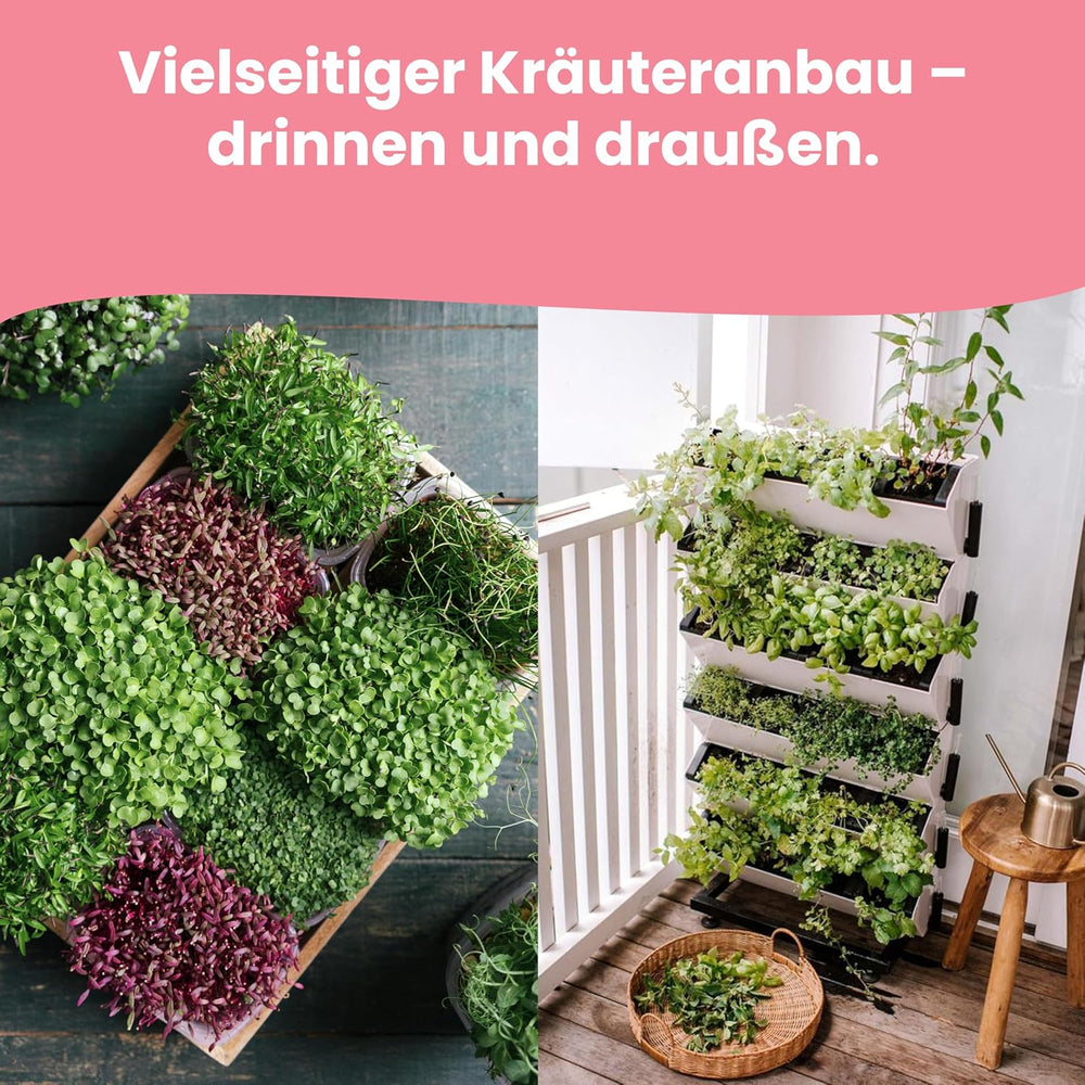 LERAVA Kräutersamen Set - 12 tipos: Basilikum Samen, Parsilie Samen, Koriander, Oregano & mehr - Saatgut für frische Kräuter im Garten oder Topf, Premium Samen für Küche & Balkon - Samen set, semillas