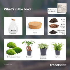 Urbanjngl - Drop XL Terrarium Grün - DIY Kit Für Pflanzen - Ø 24 Cm, Höhe 37 Cm - Inklusive Kork - Ideal Für EIN Nachhaltiges Ökosystem