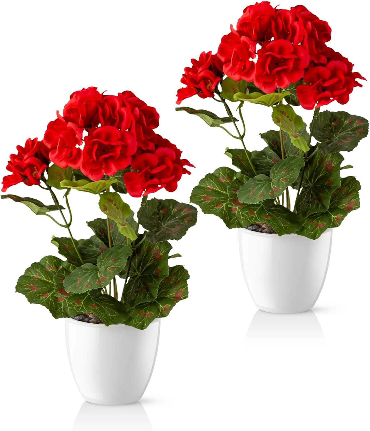 PASCH® Begonie Im Hochglanz-Keramiktopf | Kunstblumen Im Topf | Künstliche Blumen Wie Echt | Fake Blumen | Kunstblumen Wie Echt (Japanische Begonie, 3 Stück, 16Cm)