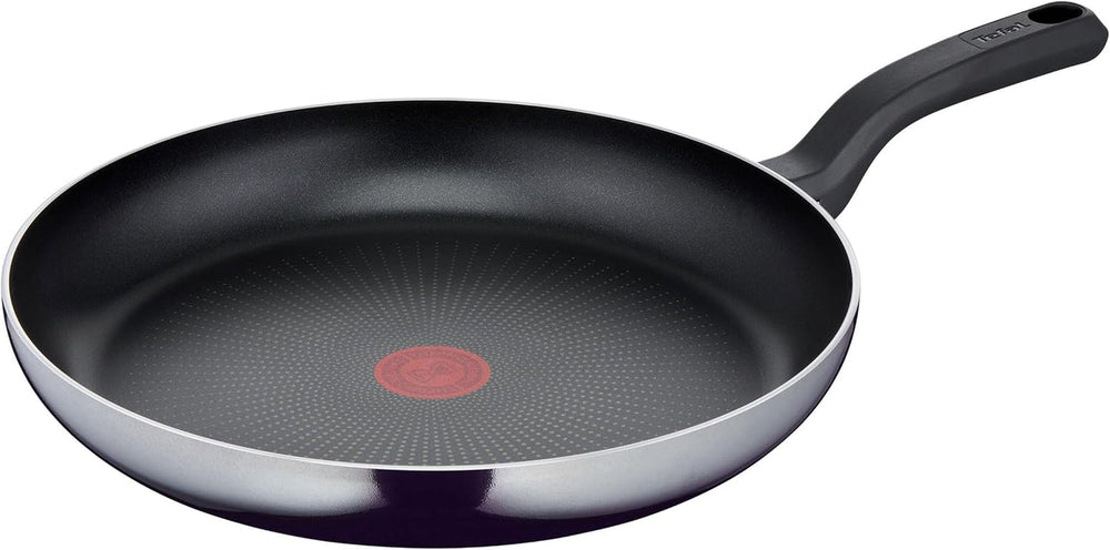 Tefal D52606 Resist, Revestimiento Antiadherente De Titanio Ollas Y Sartenes Naty Shop 32 Cm