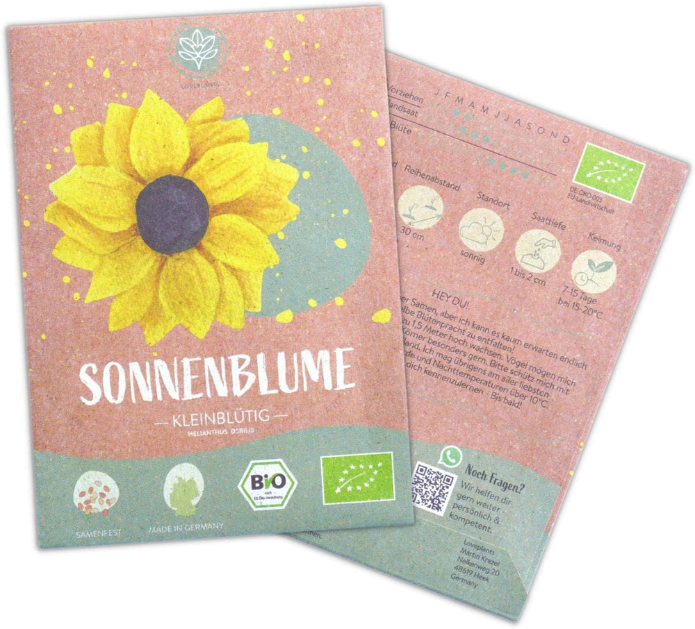 Pipas de girasol ecológicas, ramificadas, 20 pipas de girasol con alta tasa de germinación, pipas de girasol para jardín, balcón, parterre o regalo para invitados. Semillas de flores de polinización libre.