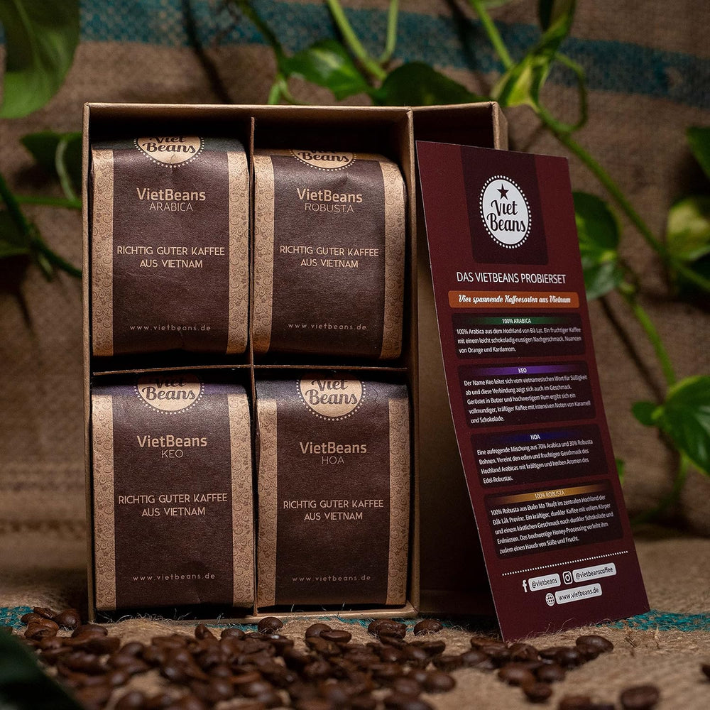 VietBeans Kaffeebohnen Probierset in Geschenkbox - Vier spannende Kaffeesorten für Kaffeeliebhaber - Kaffee Geschenkset Ganze Bohnen - Geschenkidee Kaffee - Probier Set 4 x 80g