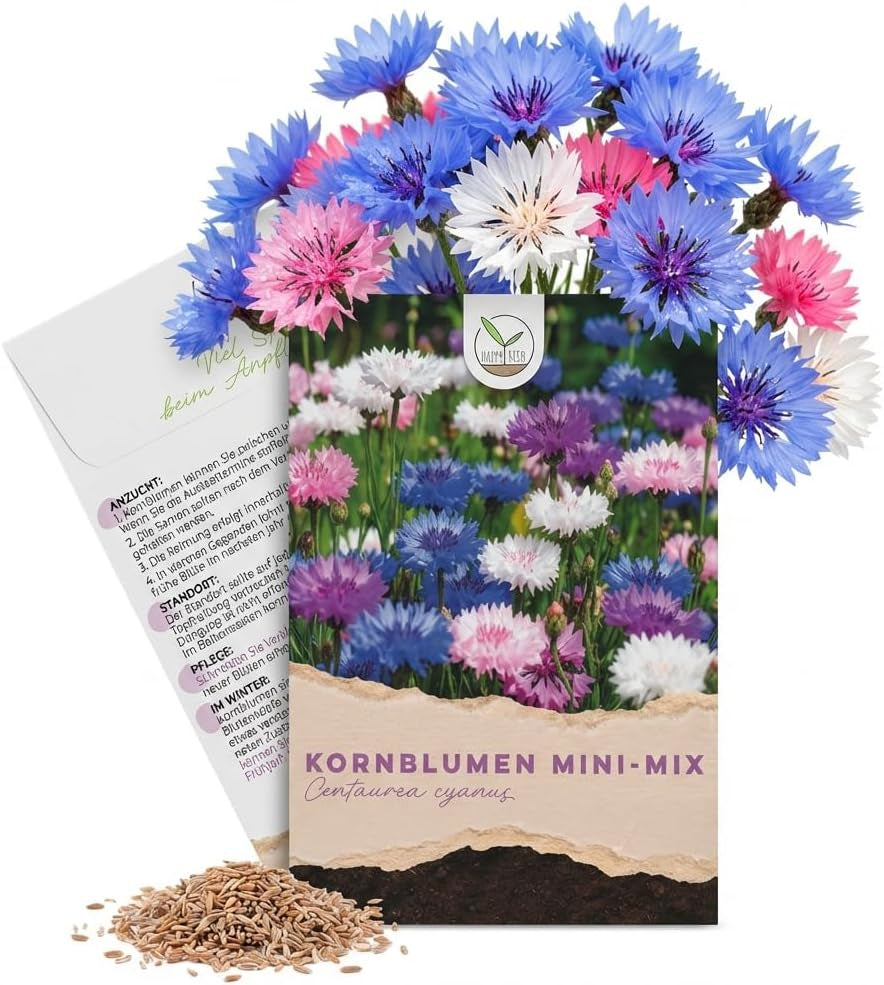 Kornblumen Samen (Centaurea Cyanus) - Wunderschön Leuchtende Blumen Mit Langer Blütezeit Für Eine Bunte Blumenwiese (Rot, 1000 Korn, 80 Cm)