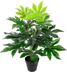 Künstliche Blattpflanze Im Topf Aralie 60 Cm Monstera Seidenblumen Real Touch Grün Kunstpflanzen Pflanzen Aralienpflanze Deko Dekopflanze Grünpflanze Seidenpflanze Zimmerpflanze Kunstblume Büropflanze
