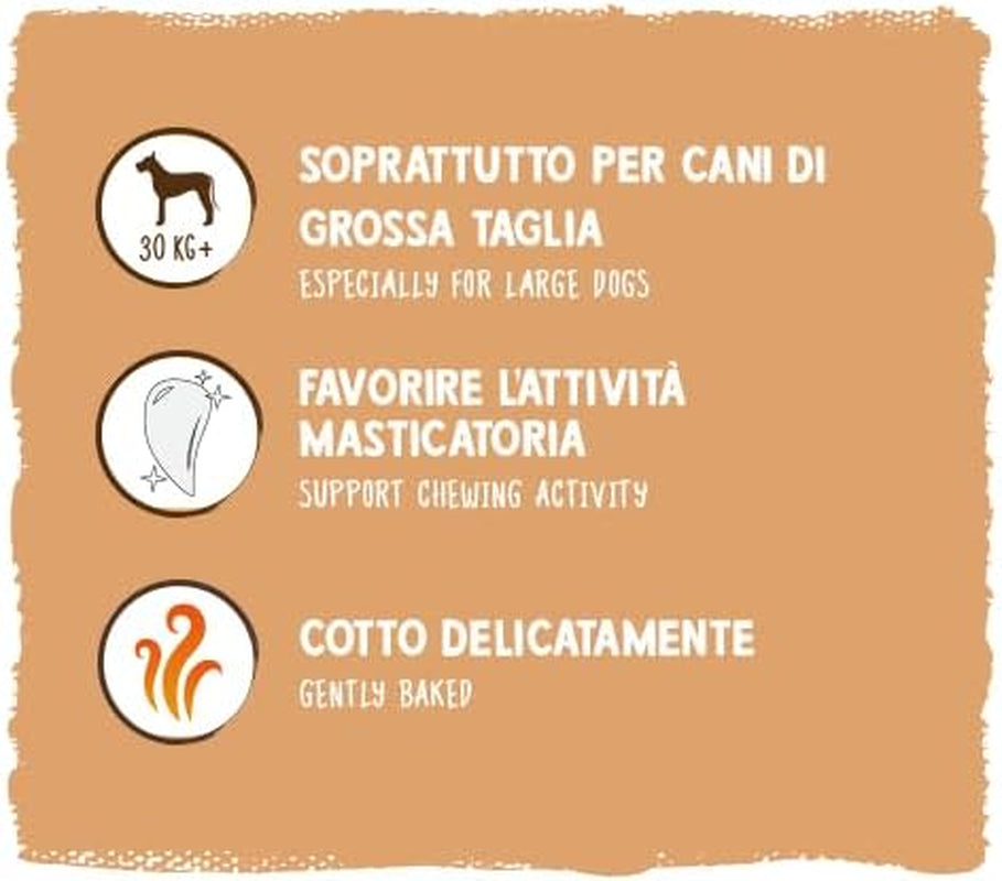 Monedas de muesli de Sammy | Snacks crujientes al horno para perros | Monedas de muesli de 5 cereales para tu amigo peludo grande (más de 30 kg) | 1 kilogramo